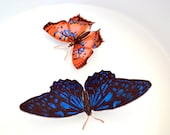 On Sale- 2 butterfly brooch pins in a box