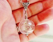 Real Dandelion Seed Glass Orb Necklace In Silver Small Orb