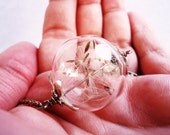 Real Dandelion Seed Glass Orb Necklace Large Orb In Silver
