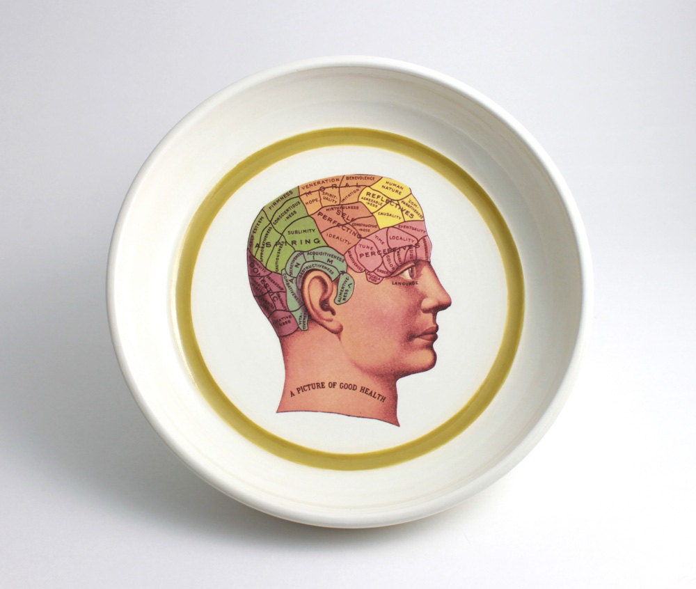 Biology Phrenology Bowl - Anatomy Illustration in White with Chartreuse Stripe