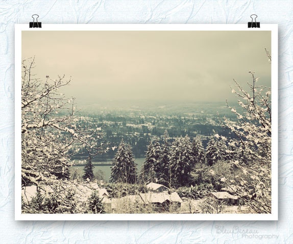 Winter photograph, snow scene, woodland photography, snow wall decor, 8.5x11 fine art print - BleuOiseau