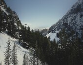 Solitude - 8x12 Print Mount Rainier Washington