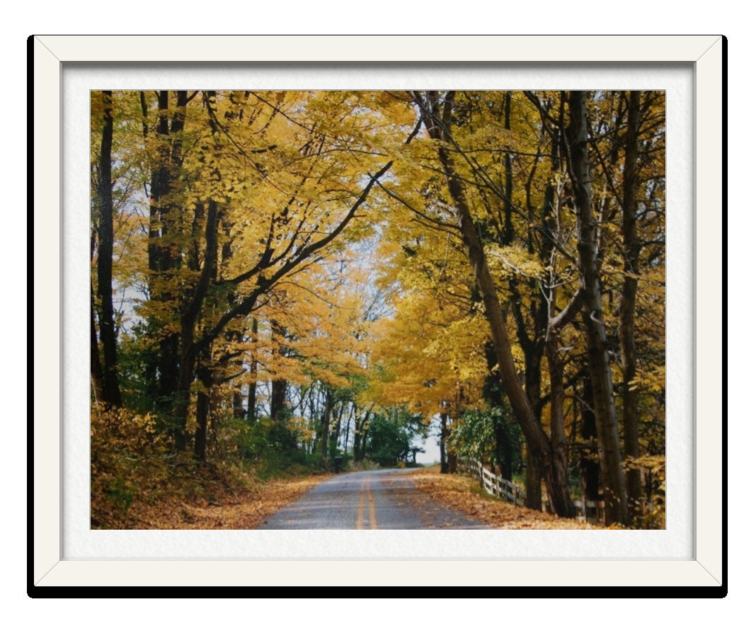 Fine Art Photography Prints , Scenic Photo Art Print 8x10 , "Sleepy Hollow" Gifts under 30