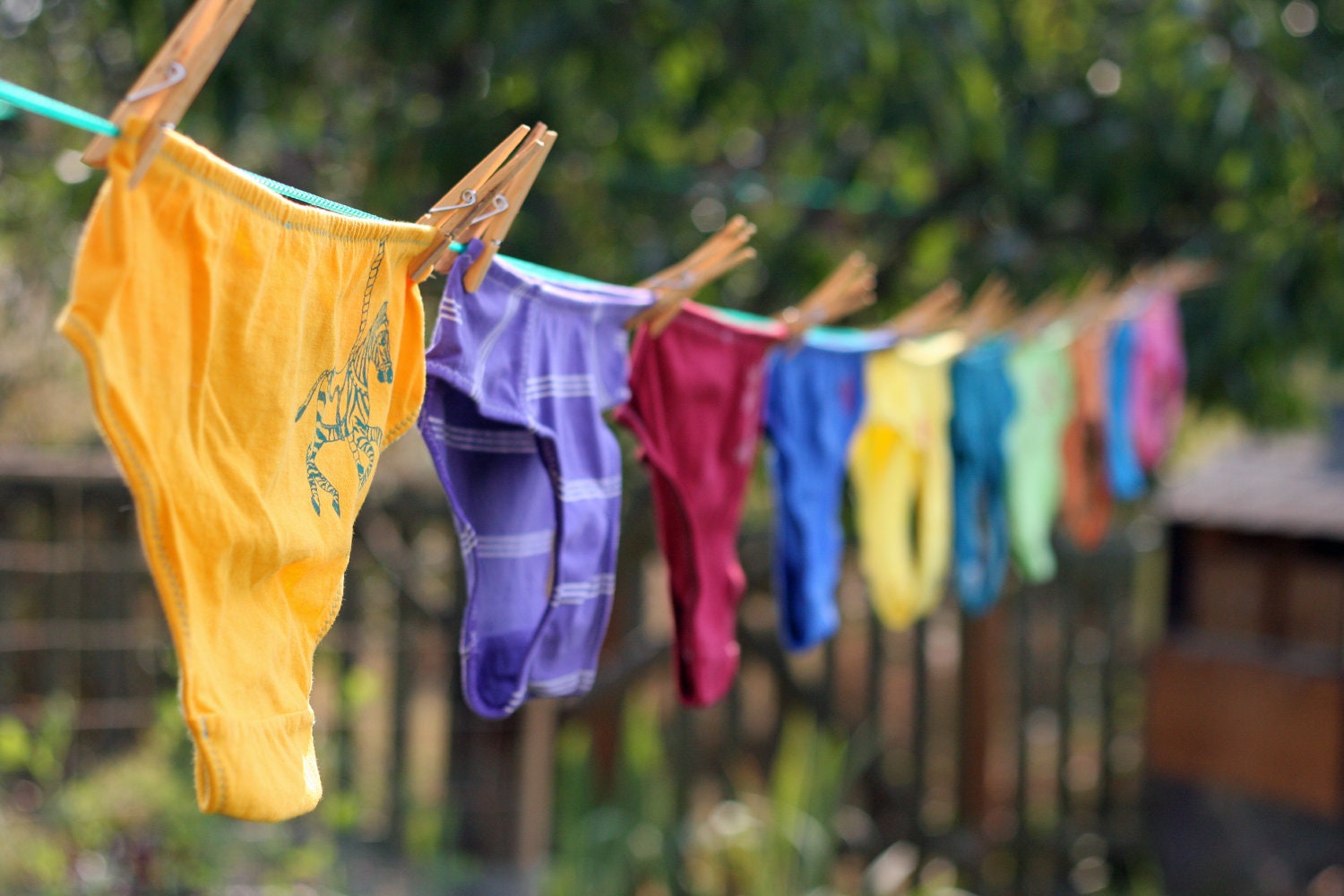Underwear of the Month Club - 12 Month Subscription