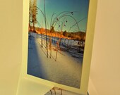 Fine Art Photography - Perfect Light, Snow, Frozen Pond, Reeds - set of four - blank inside