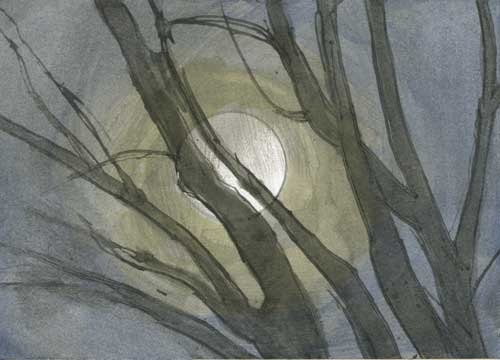 Greeting Card: Moon through Branches