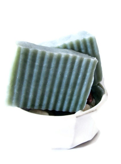 The Spy - Handmade Hot Process Soap - Delicate by Nature