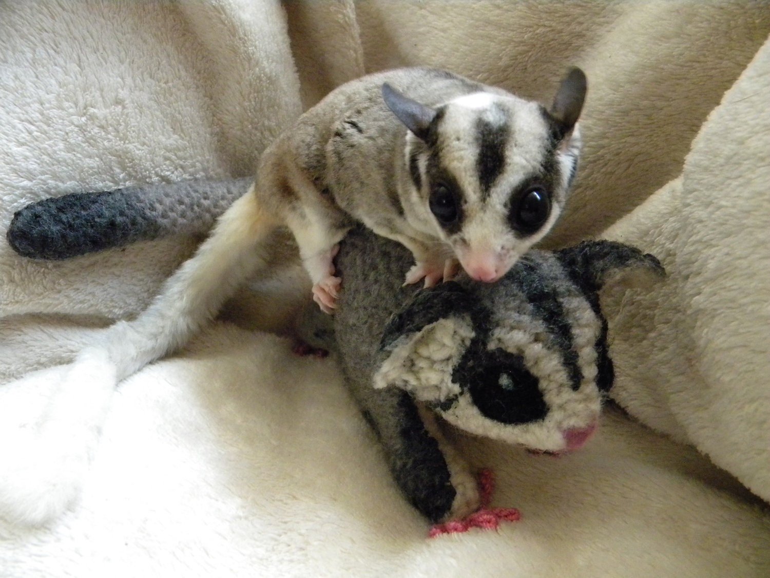 Winged Suggie Love Sugar Glider: Custom Realisitc Crochet Amigurumi Toy MADE TO ORDER