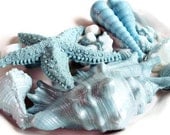 SOAP, Teal and White Opalescence Beach Shells Gift Set Scented in Coconut, Vegetable Based