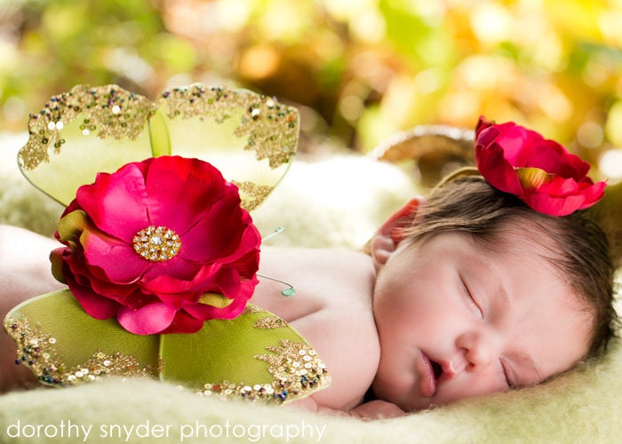 DULCE BEBE Angel Butterfly WINGS - Gorgeous Photo Prop - Room Decor - Keepsake - Beautiful Golden Jeweled Wings with Deep Pink Silk Floral