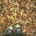 Leaves and Chucks Card