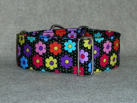 2 inch Martingale Dog Collar Flowers on Black