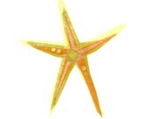 cecilia starfish - print