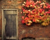 Fall Photography - Indian Summer - Autumn Leaves in orange and yellow - 8x10