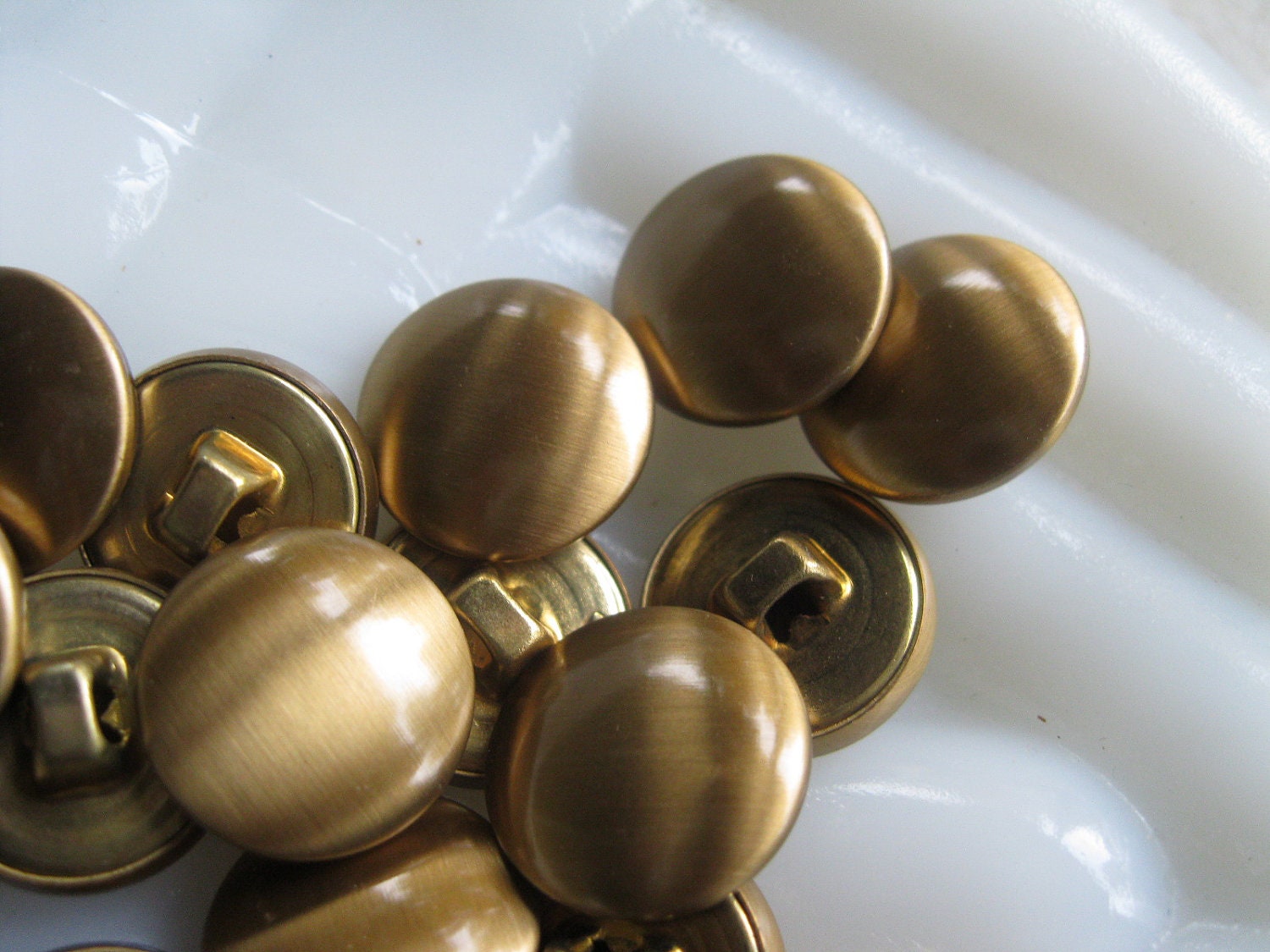 Brass Buttons Brushed Brass - Group of 6