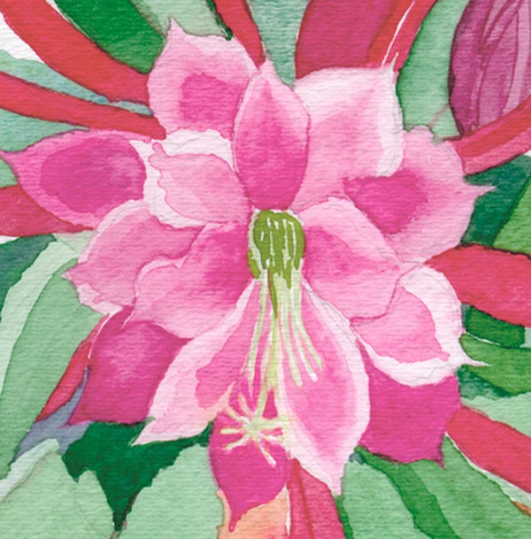 Orchid Cactus, original watercolor on paper