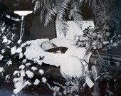 Memento Mori of a Man