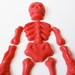 5 Chocolate Skeleton Pieces: Red Bones