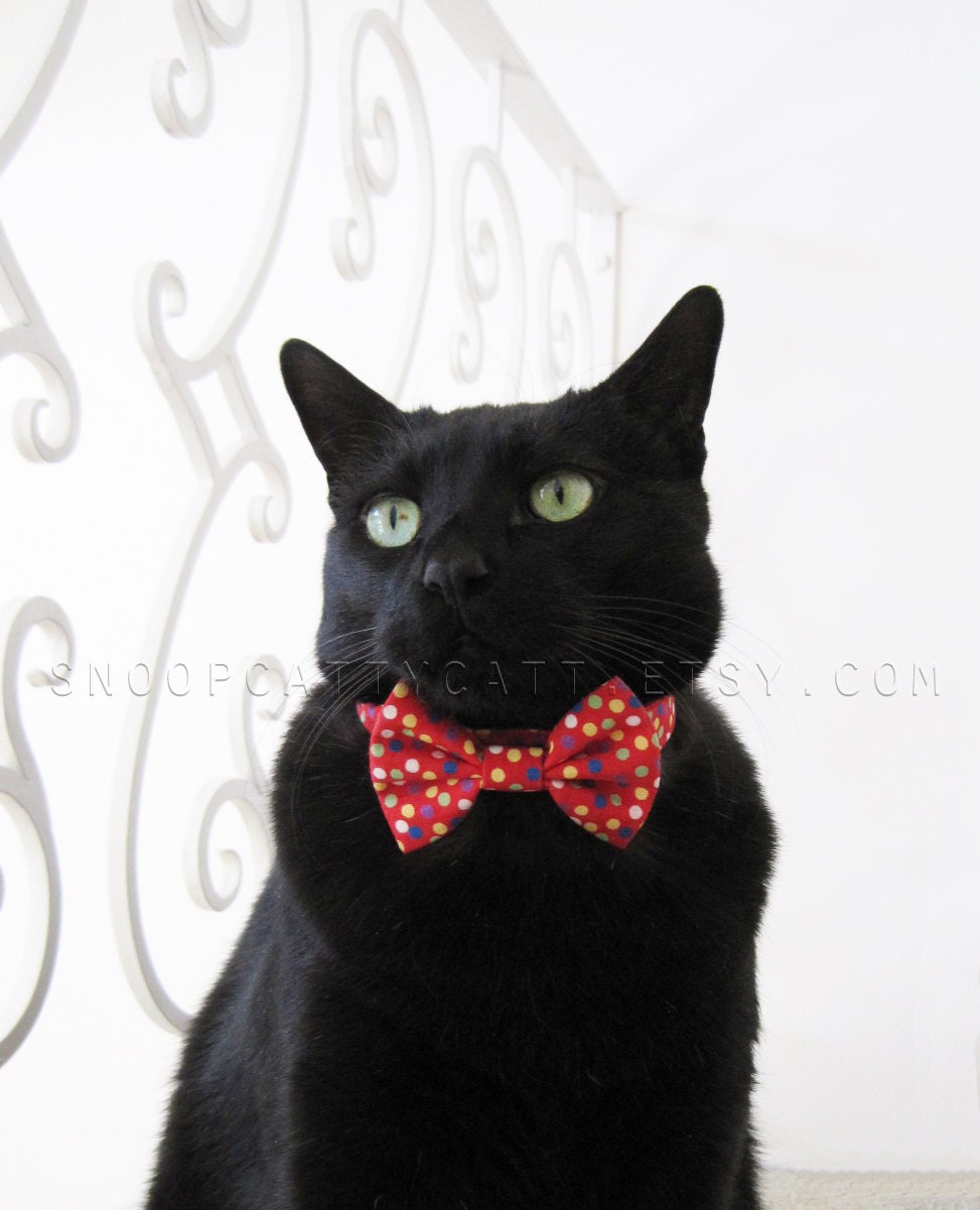 Cat Bow Tie - Choose Your Own (Cotton Prints)