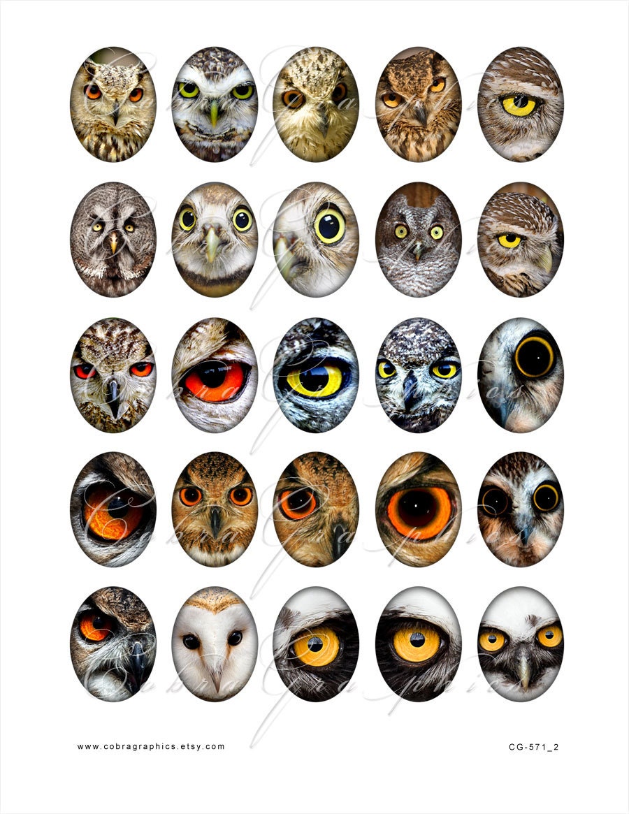 Owls - 2 Digital Collage Sheets CG-571 - for Scrapbooking, Resin and Glass Pendants