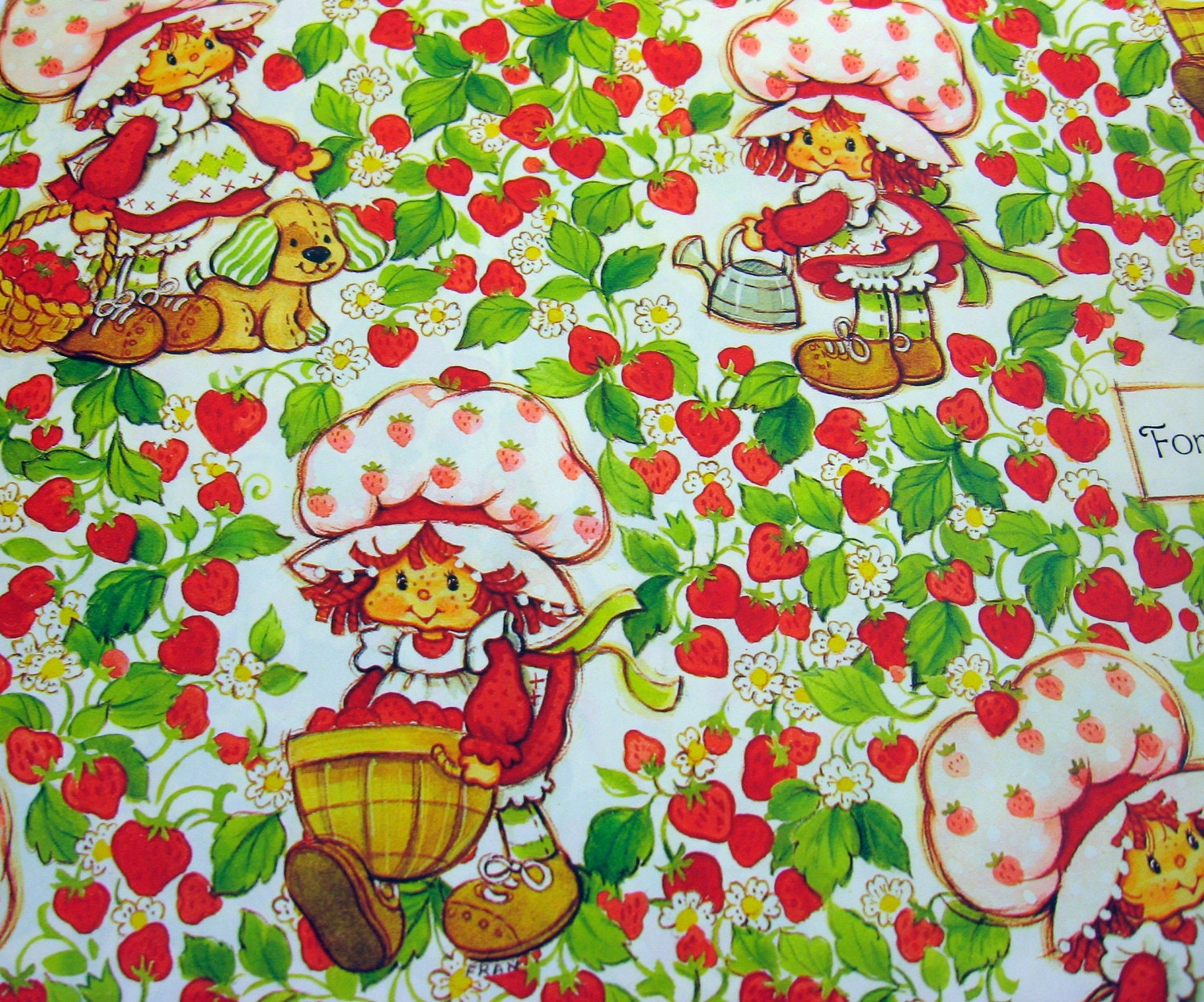 Strawberry facts for kids picture