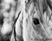 Horse Photography Black and White Horse Art Print