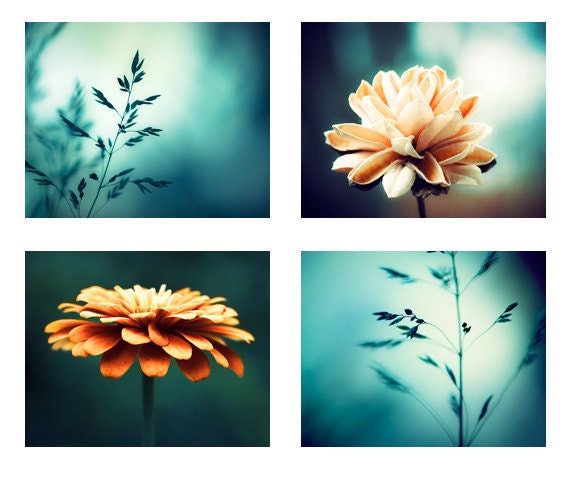 Photography Set - 4 8x10 Photographs - dark teal print set blue aqua orange beige turquoise nature flower photography botanical wall photos