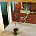 Serpent Altar Stand Art Object