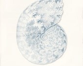 Nautilus Shell Art Print - 8 x 10 - Ptychites opulentus Blue