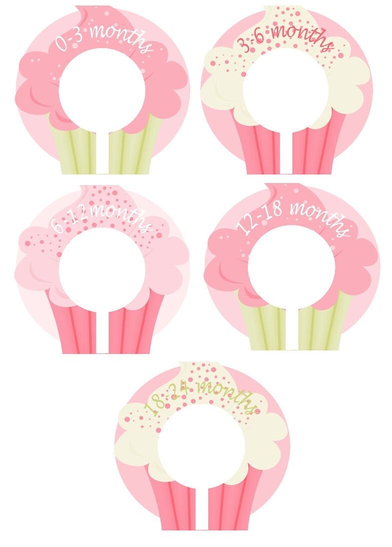 Cupcake Dividers