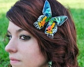 Real Sunset Moth Hair Clip