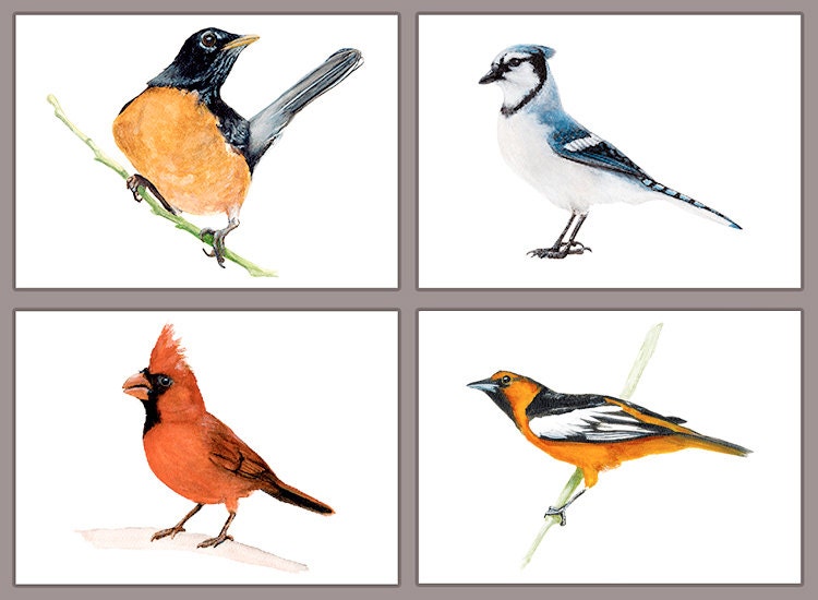 Set of 4 North American Birds, Prints of Original Watercolor Paintings, 5x7 each