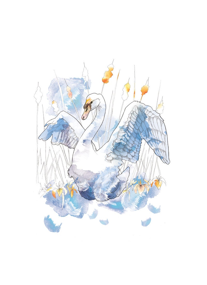 Watercolour Swan // A4  // 8x11 Print