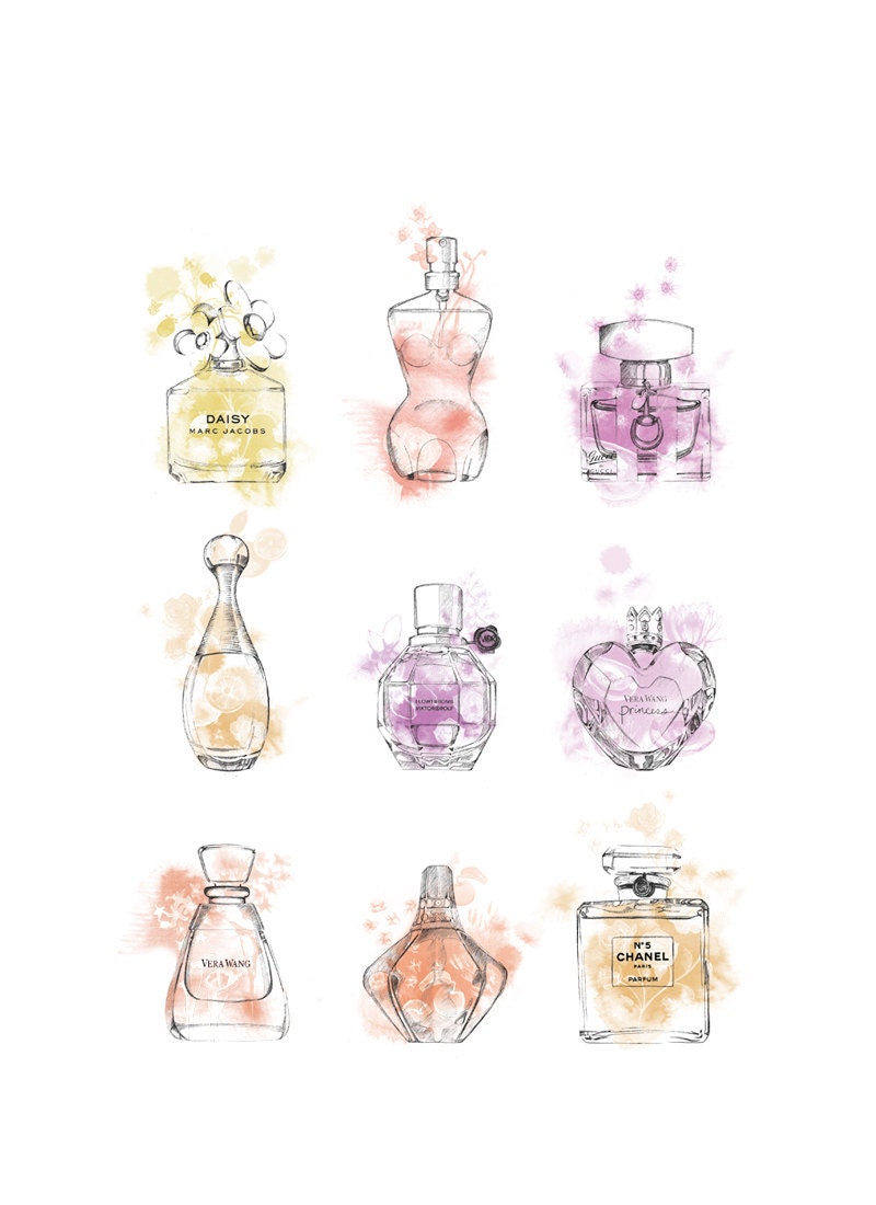 Watercolour Perfume // A3plus // 19x13 Print