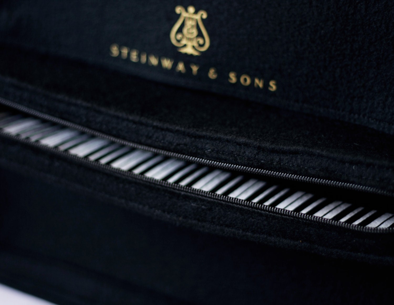 Black Felt Piano Bag