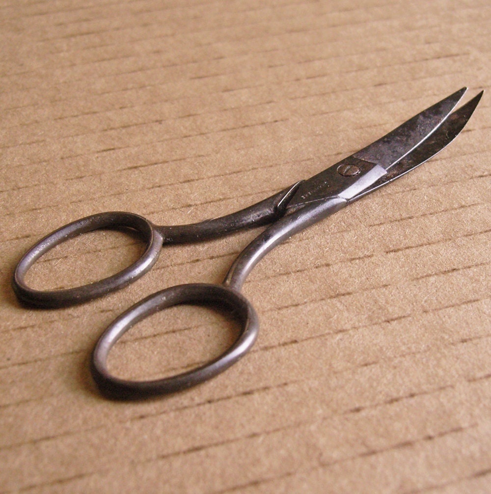 Antique Surgical Scissors by Charriere Mid 1800s by fancifulanne