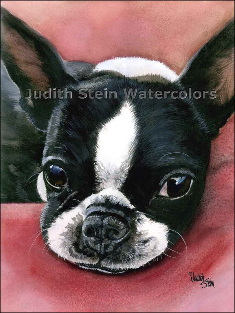 BOSTON TERRIER Betti Toy Dog 11 x 15 Giclee Watercolor Print