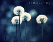 Royal Blue Dandelions Photo Wishes Child Summer Dreams