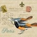 Orange teal birds Paris Carte Postale fleur de lis Digital download image for iron on fabric transfer burlap decoupage paper pillows No. 537