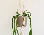Large macrame plant hanger - natural