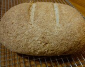 Rice Bread (gluten free, no dairy, no gum)
