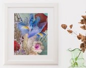 Flower Photo 8x10 Botanical Art Print Shabby Chic Blue Iris Pink Roses Floral Home Decor pastels valentine's day