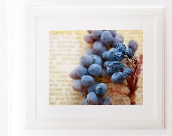 Nature Photo Blue Berries Book 8x10 Fine Art Print Shabby Chic Home Decor art for kitchen