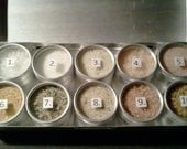 10 Tins International Gourmet Culinary Salts & Blends Flavor Sampler