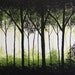SHERWOOD FOREST- Original acrylic textured painting,Black and Green base color, size 24" X 48" X 3/4"
