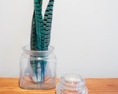 hand dyed teal pheasant feathers. set of three, perfect for display.