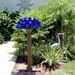 Beer Bottle Tree Unique Recycled