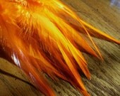 Orange Feathers for Holiday Crafts