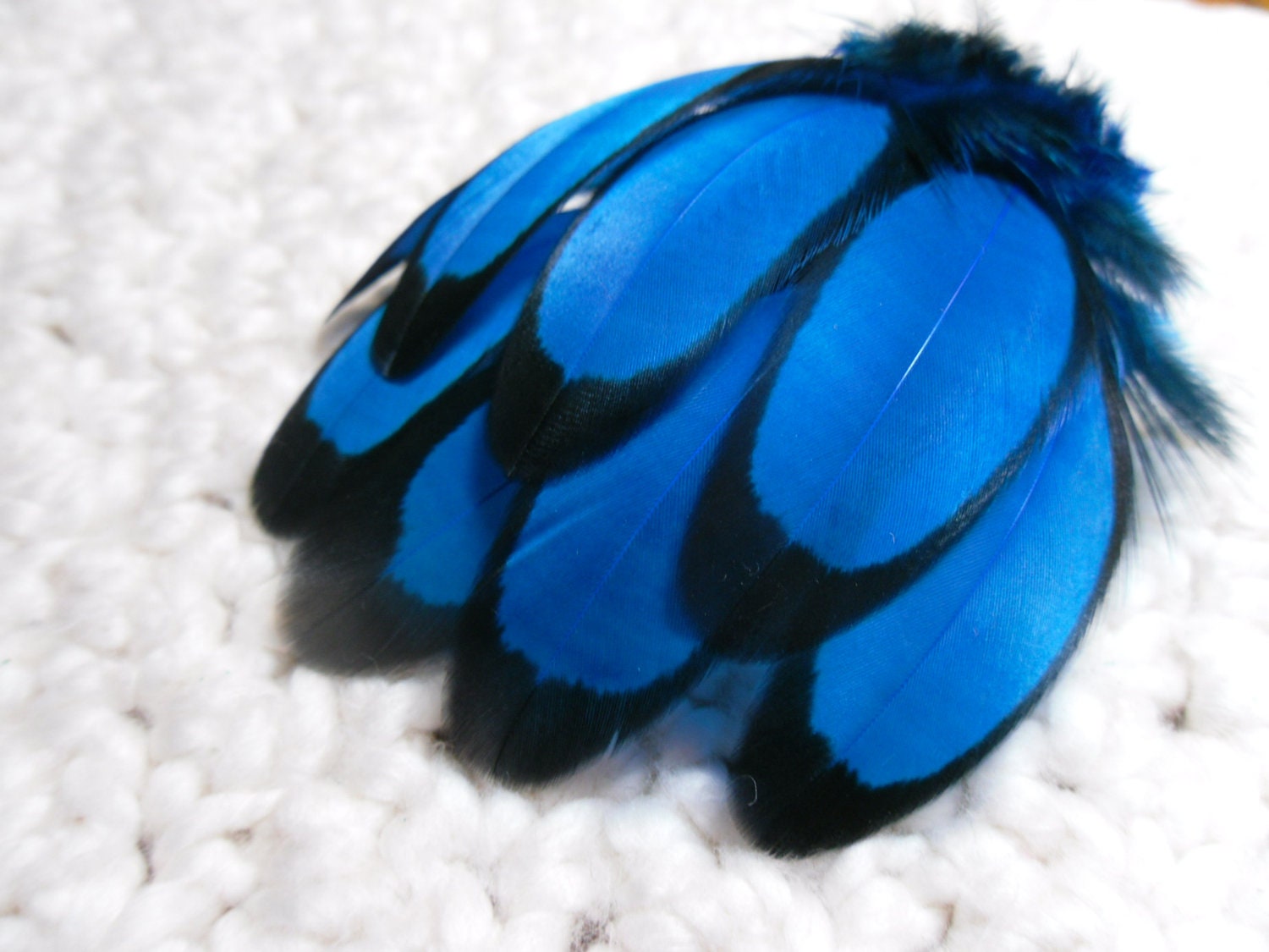 Deep Blue Feathers, Craft Feathers, Black Laced Hen Qty15