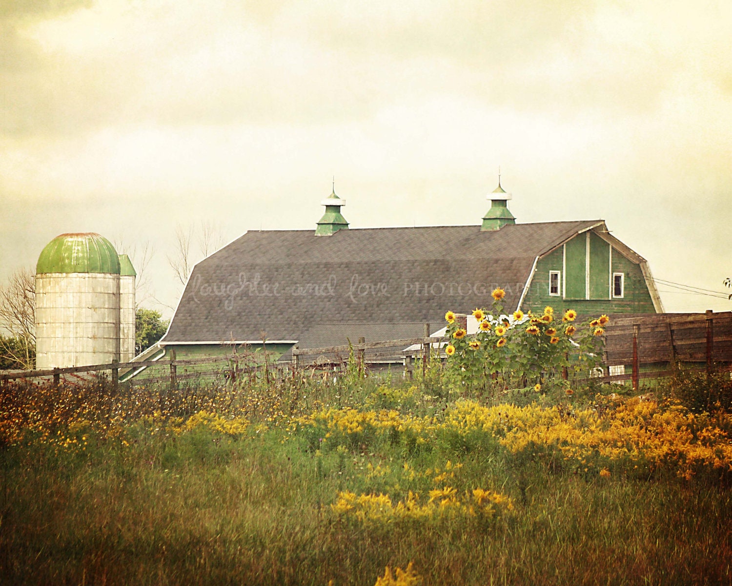 Green Barn 8x10 Fine Art Photography Sunflowers Country Farm Silo Vintage Shabby Chic Home Decor Wall Art